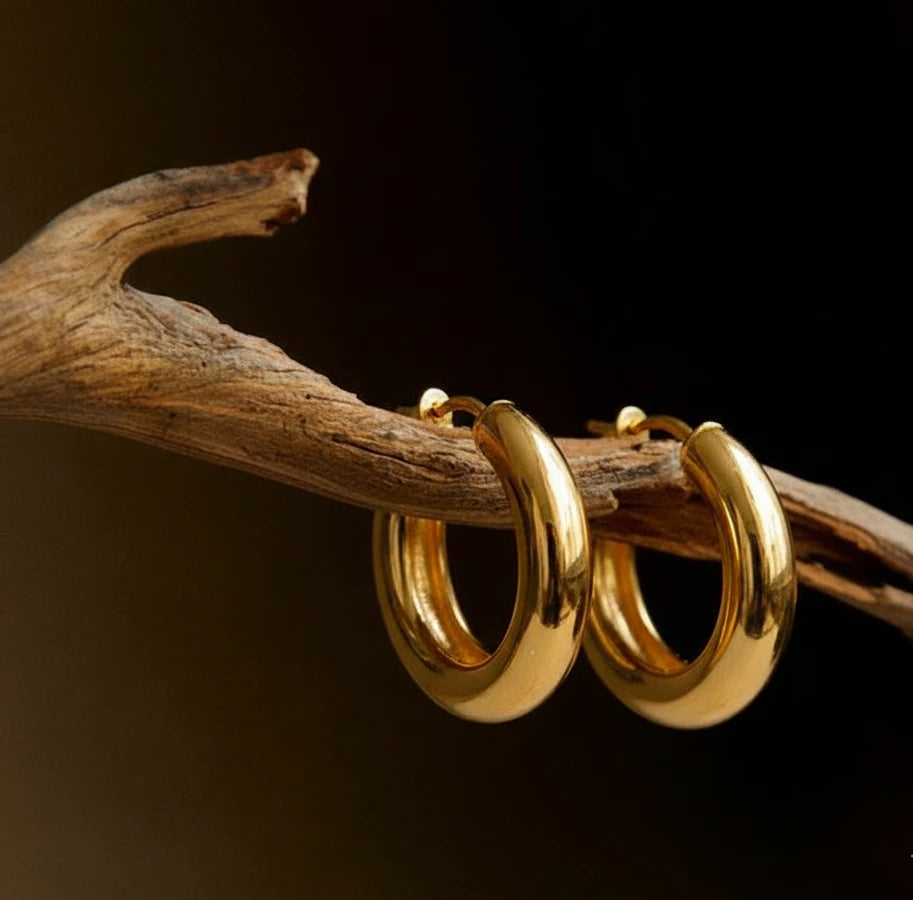Gold hoop earrings on a branch against a dark background